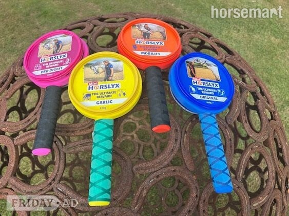 LyxLoop Mini Horslyx Holder in Hanworth