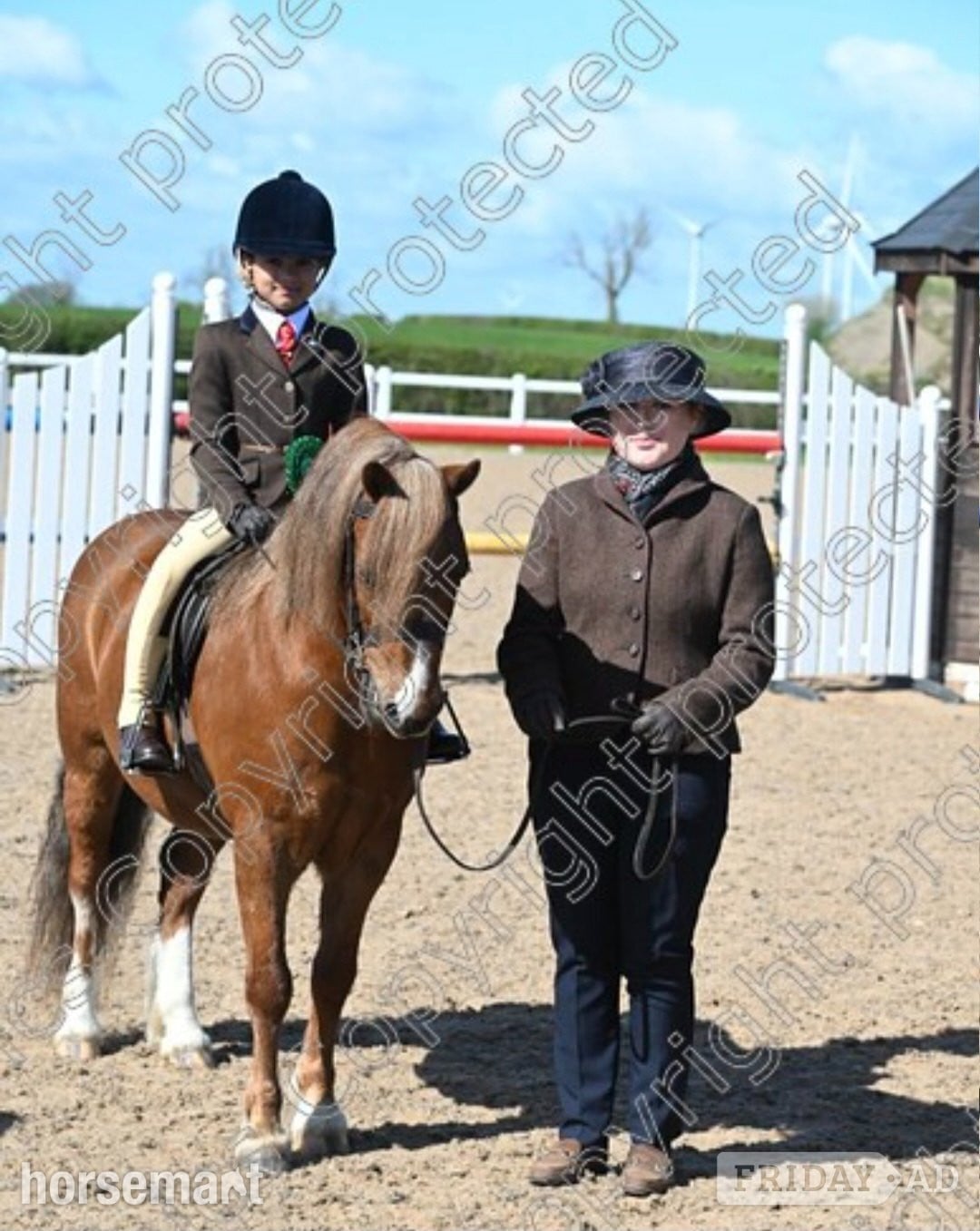 Nottingham "Crosslands double take " Chestnut Gelding Pony Club Pony
