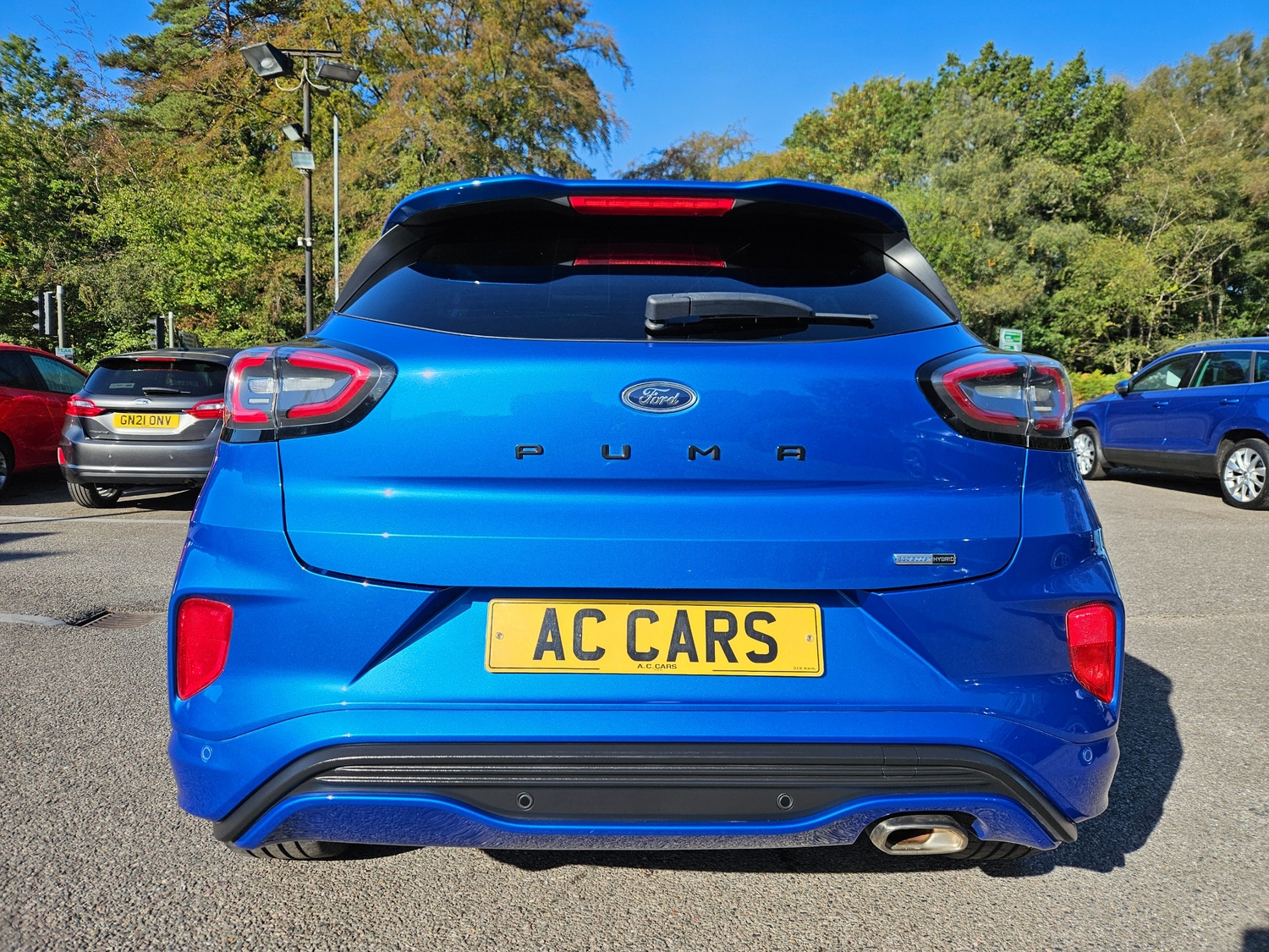 [ berth ]Ford Puma