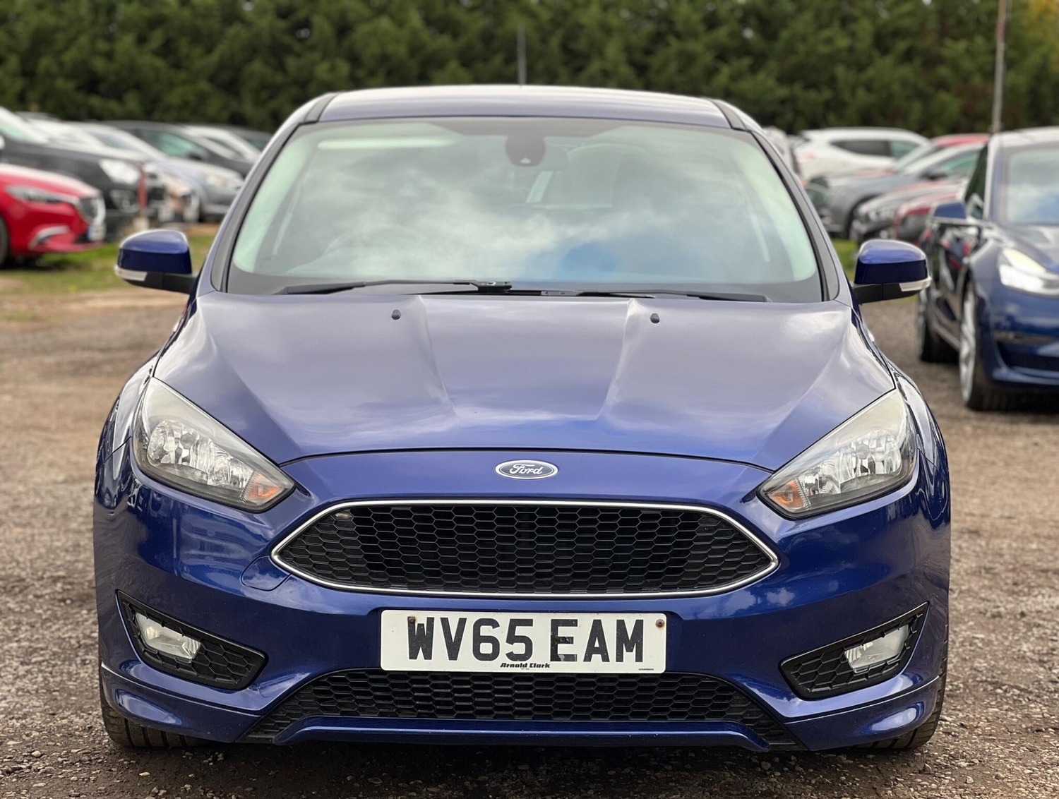 [ berth ]Ford Focus