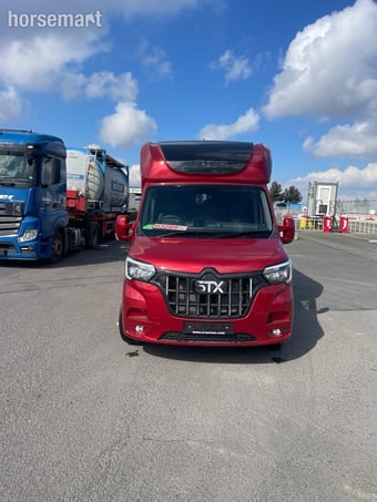 Stephex STX 2 Horse Renault Horsebox