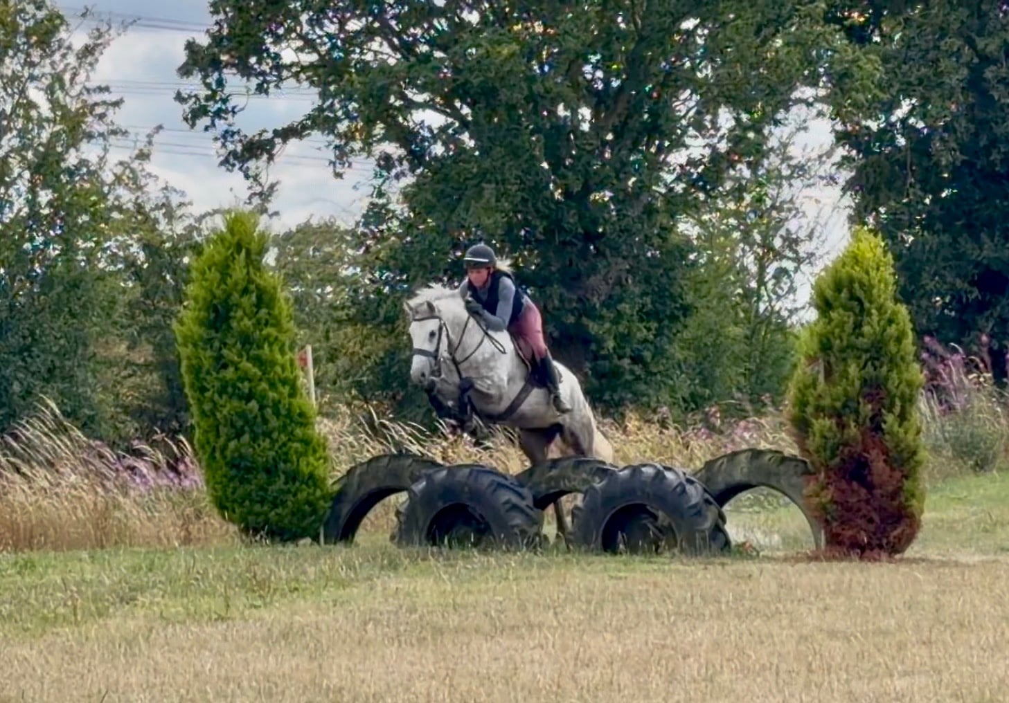 "Knockrour Lady" Grey Mare Pony Club Pony