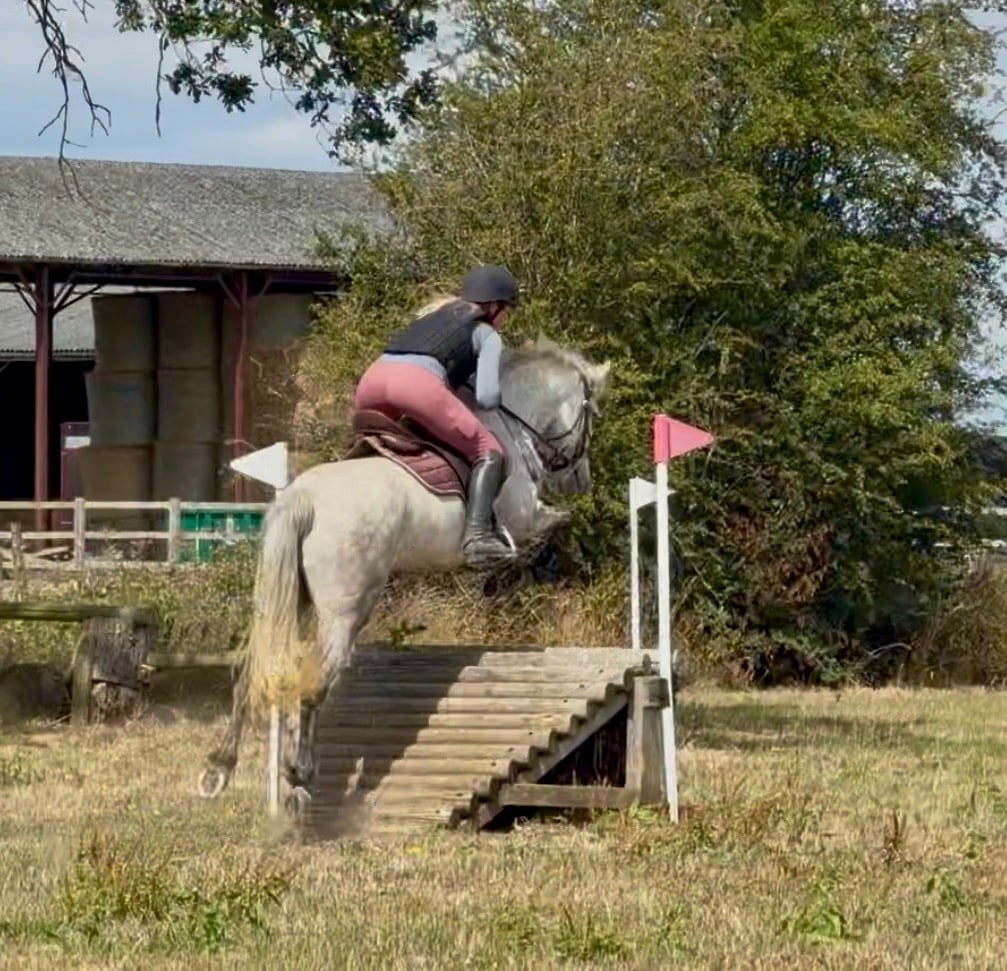 Goole "Knockrour Lady" Grey Mare Pony Club Pony