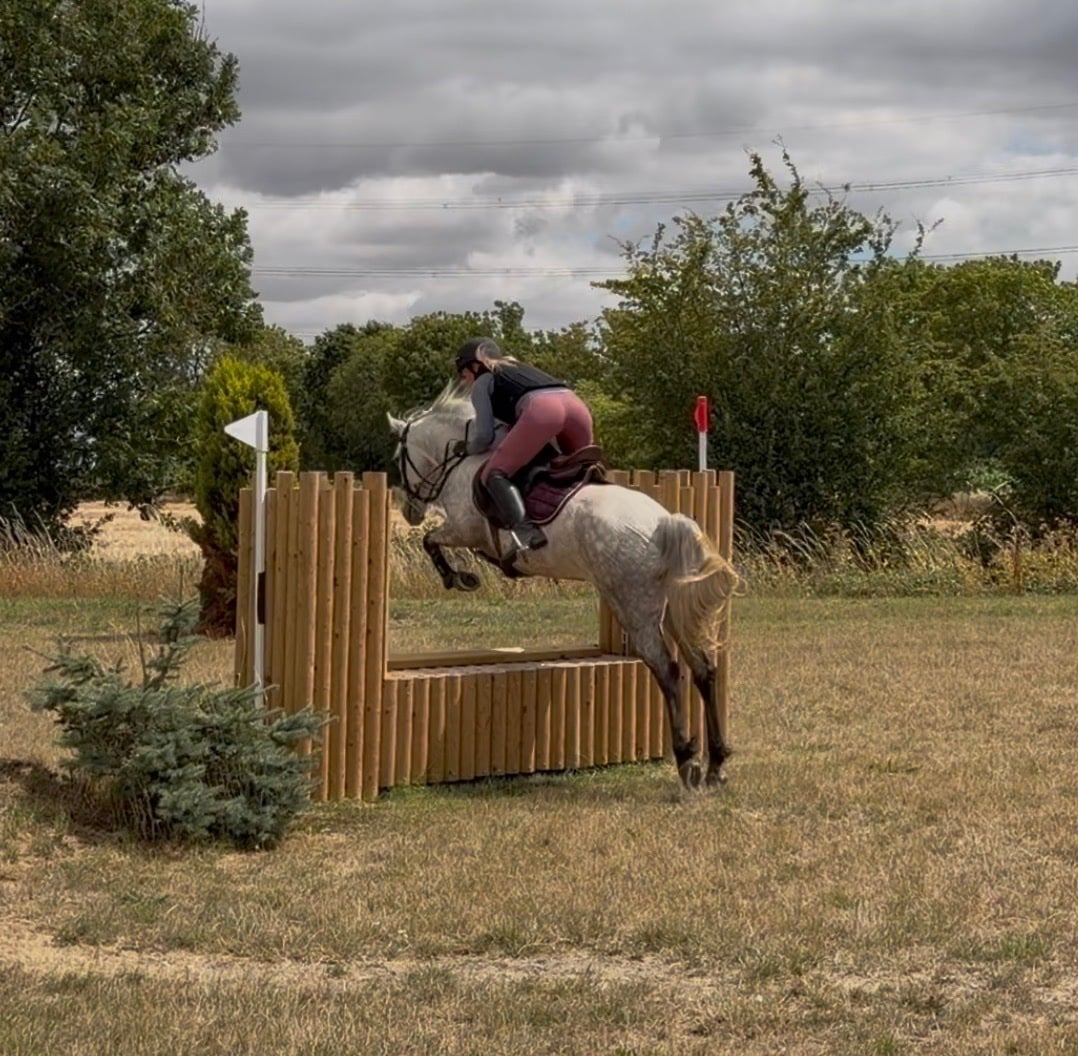 "Knockrour Lady" Grey Mare Pony Club Pony - Horses in Goole