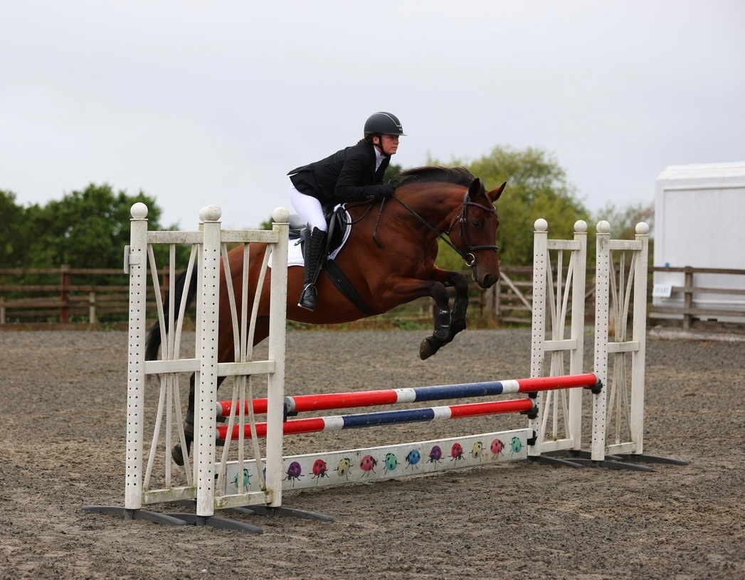 "Lilo" Bay Mare All Rounder
