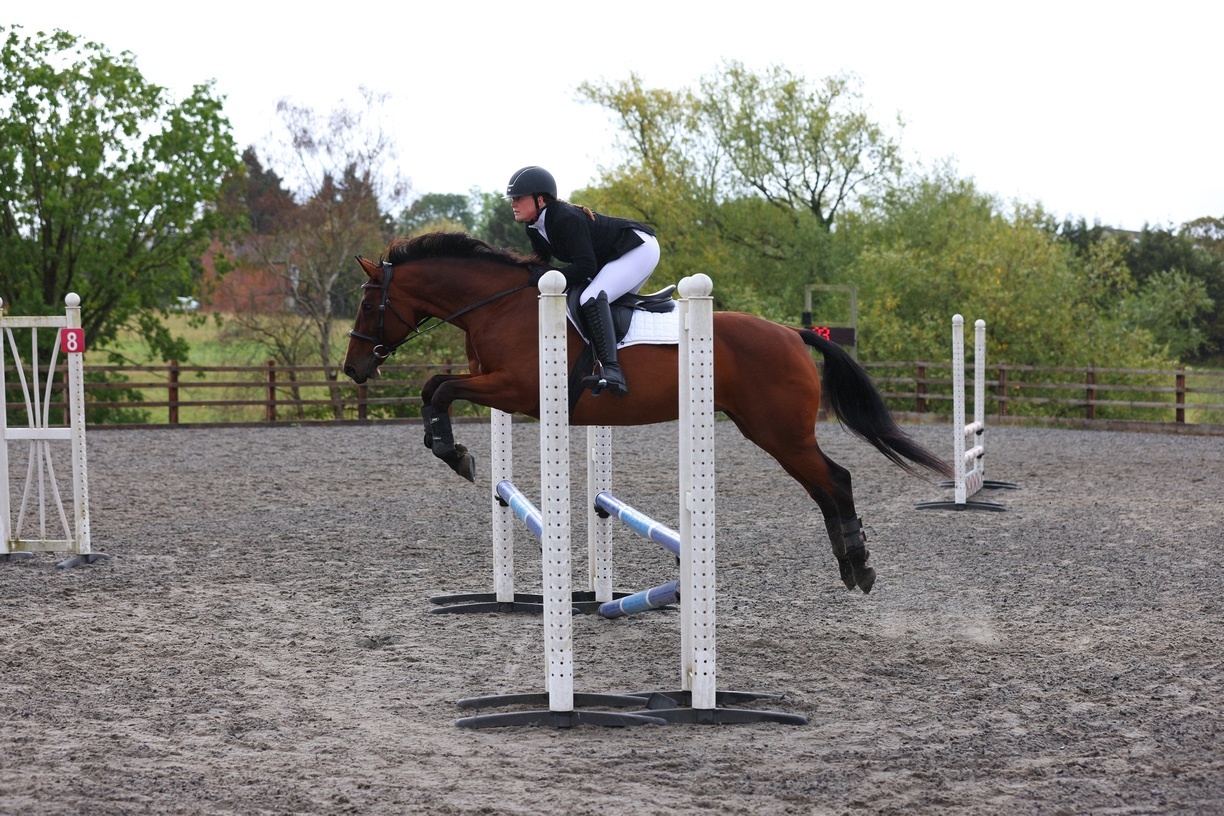 Worcester "Lilo" Bay Mare All Rounder