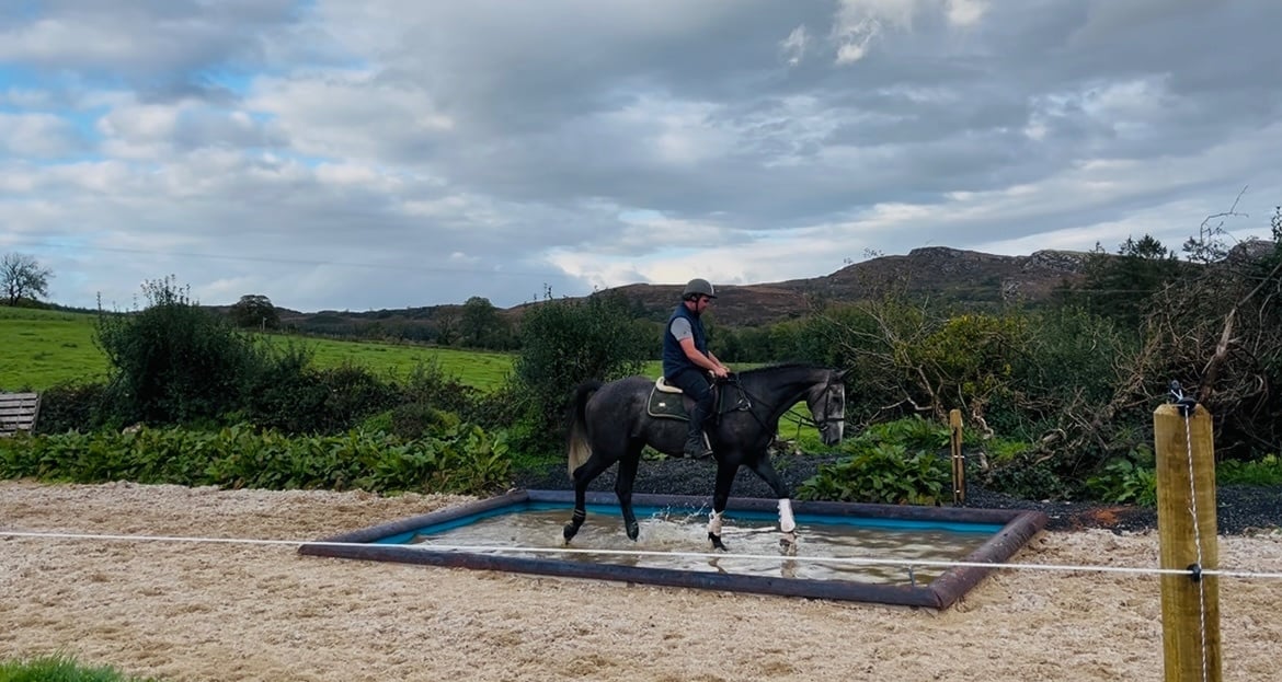 Collooney "Mickey Finn" Grey Gelding Hunter