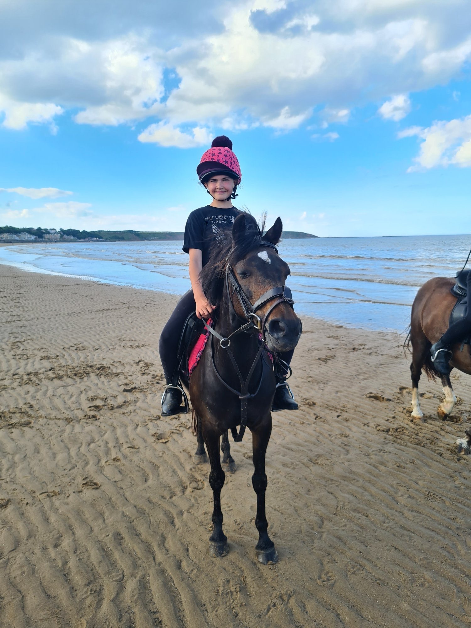 "Bambi" Bay Mare Pony Club Pony