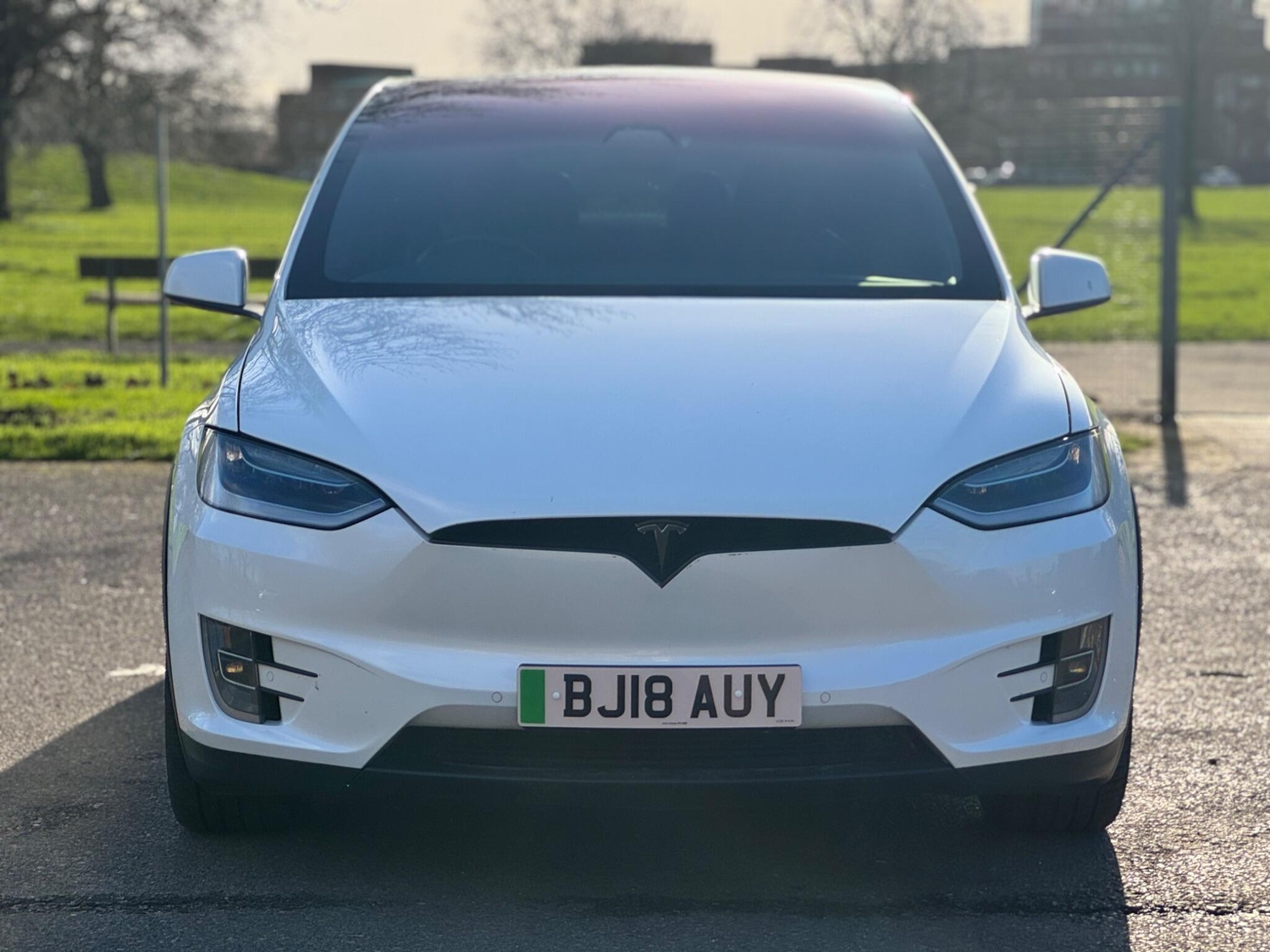 Tesla Model X Romford