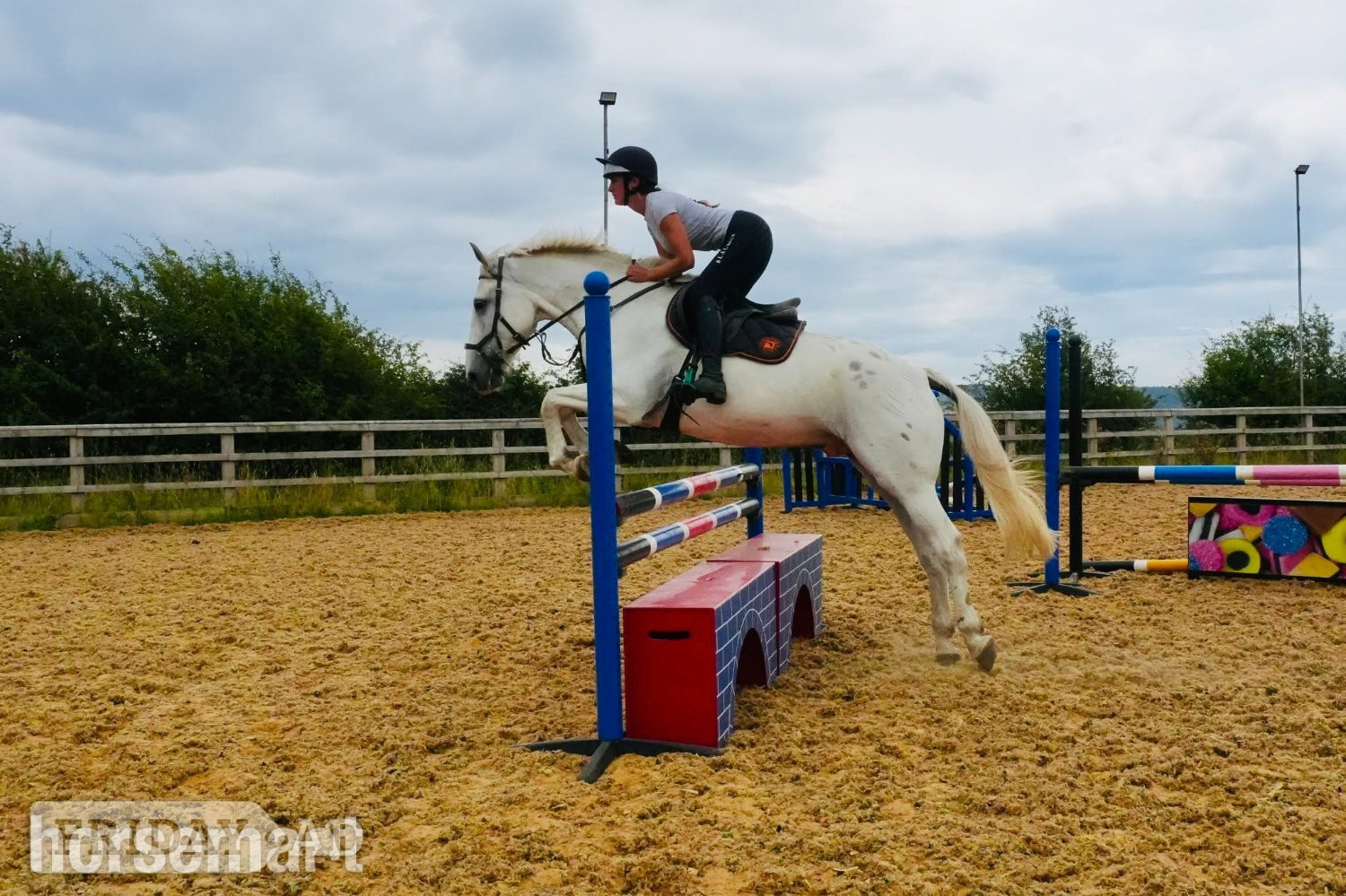 Huddersfield "Tyson" Grey Gelding Young Sport Horse
