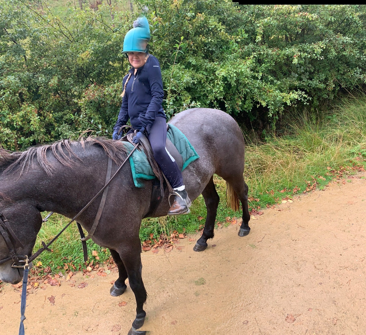 "Kilcrona dancer" Mouse Dun Gelding All Rounder - Horses in Bolton