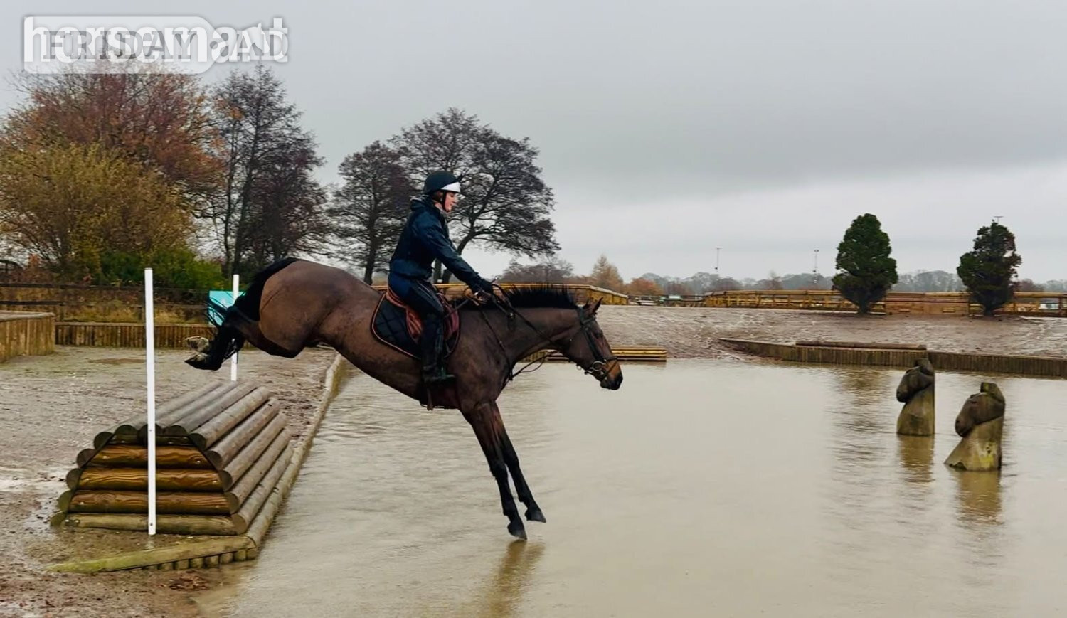 "Brownie" Bay Mare All Rounder - Horses in Huddersfield