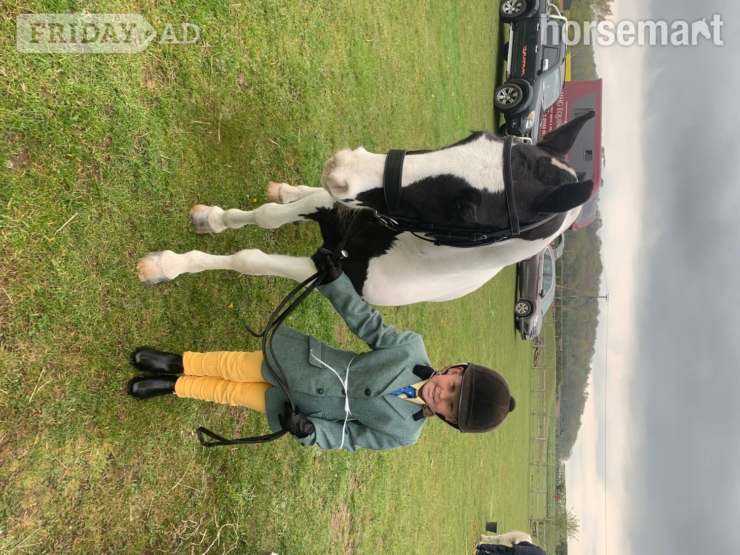 "Matilda " Piebald Mare Lead Rein/First Ridden Pony - Horses in Leeds