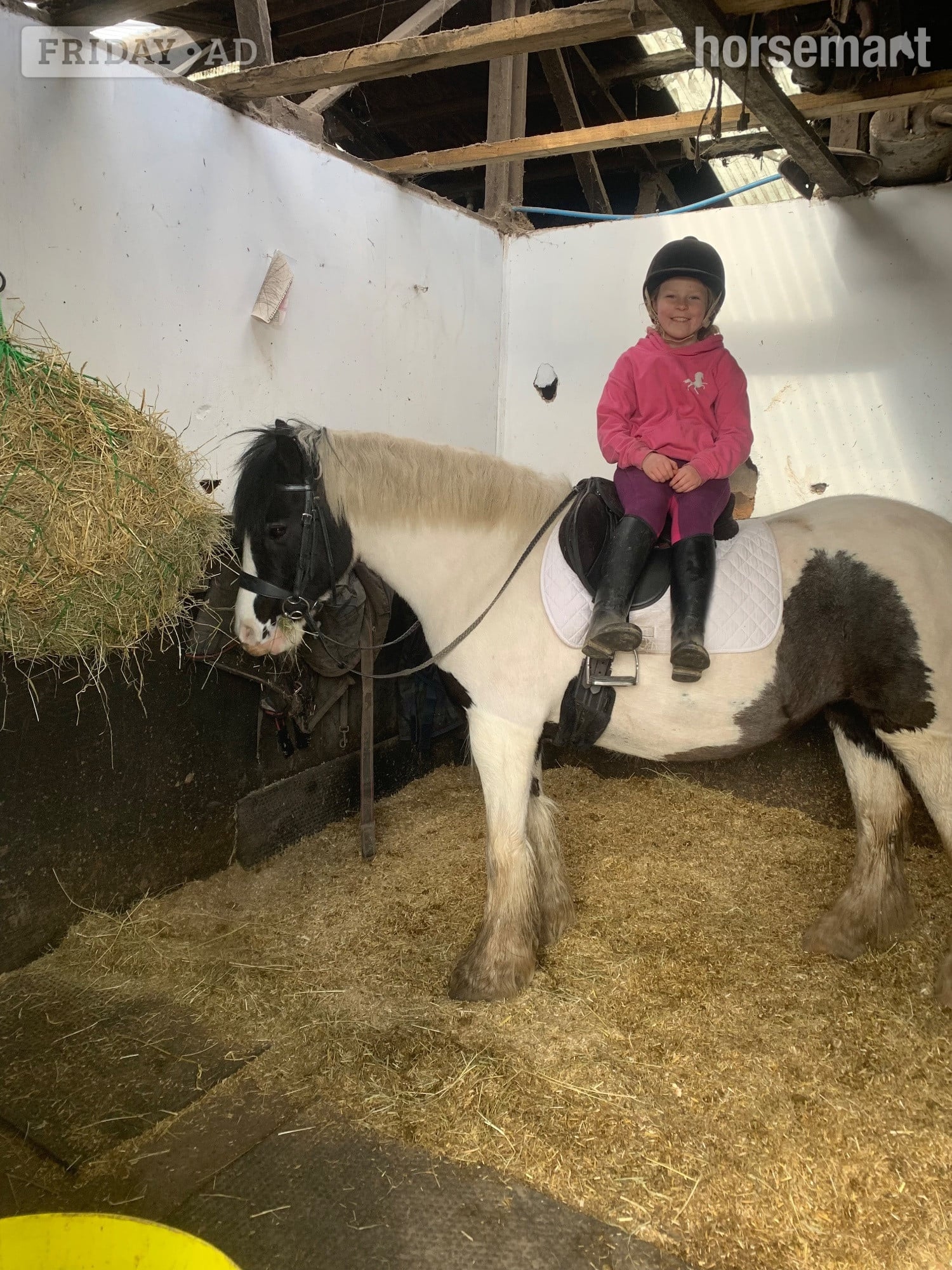 "Matilda " Piebald Mare Lead Rein/First Ridden Pony - Horses