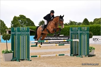 "CHABBACHON X BALOU DU ROUET" Bay Mare Show Jumper