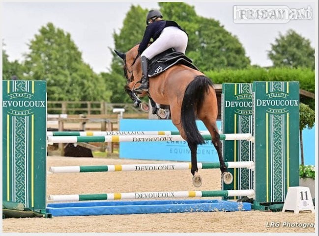 "CHABBACHON X BALOU DU ROUET" Bay Mare Show Jumper in Uckfield