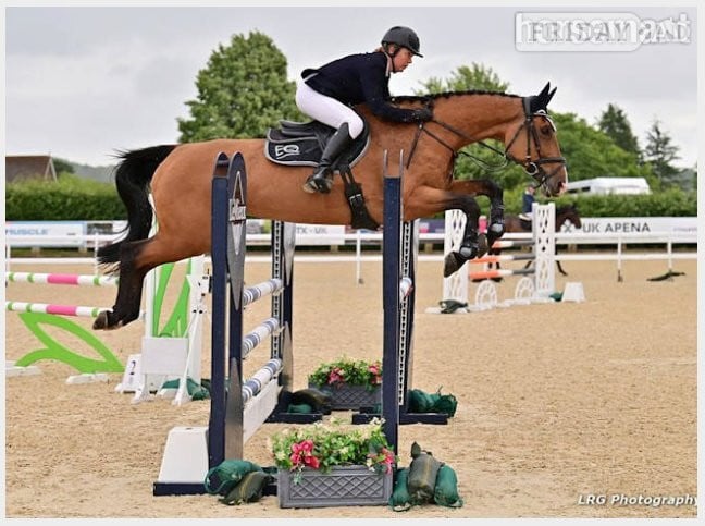 Uckfield "CHABBACHON X BALOU DU ROUET" Bay Mare Show Jumper