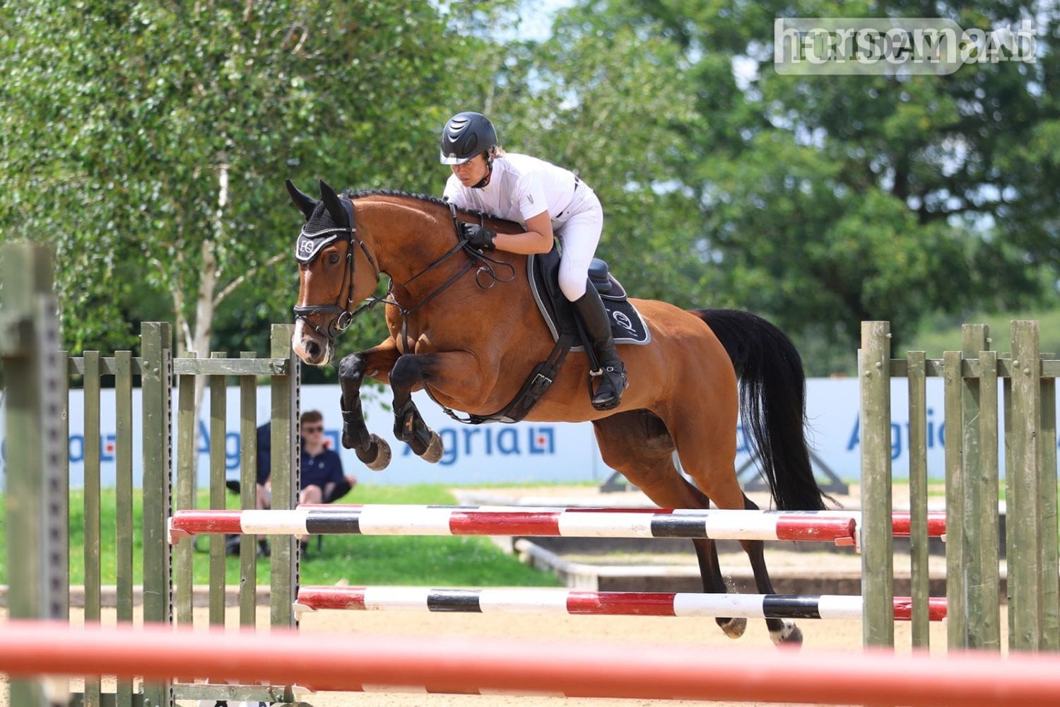 Uckfield "CHABBACHON X BALOU DU ROUET" Bay Mare Show Jumper