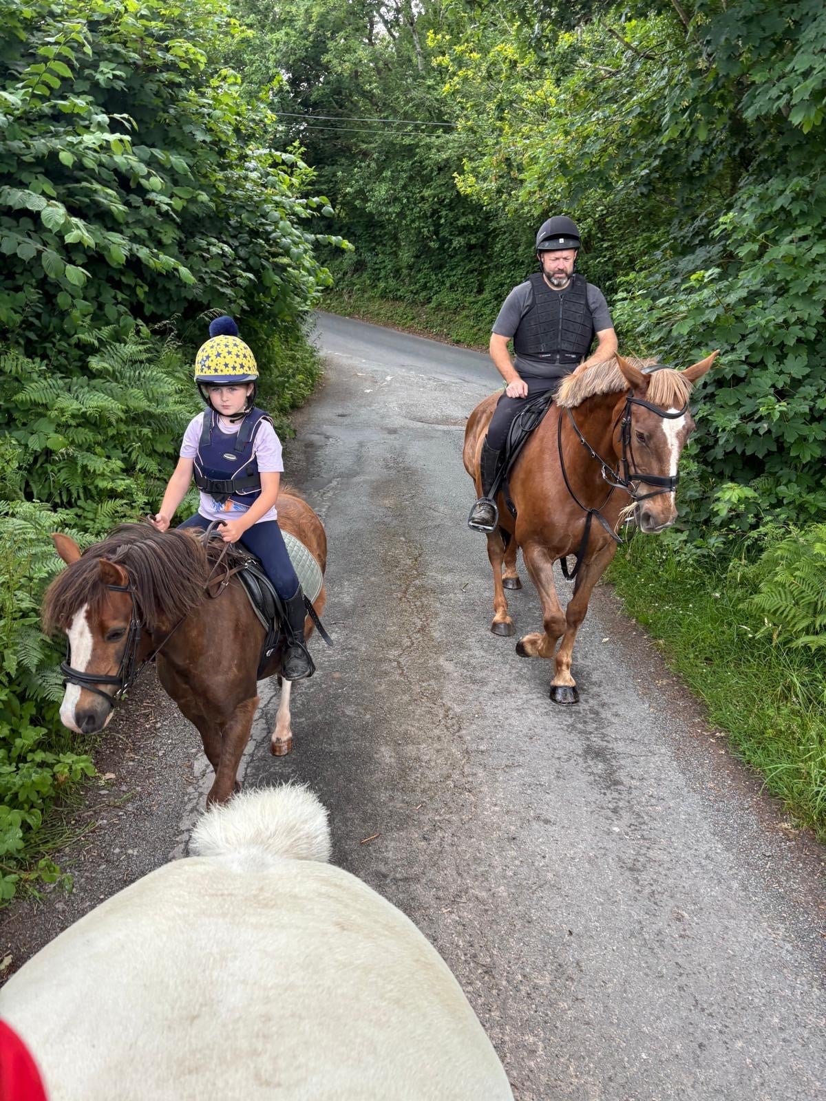 "Tiger" Liver Chestnut Gelding Lead Rein/First Ridden Pony - Horses in Winforton