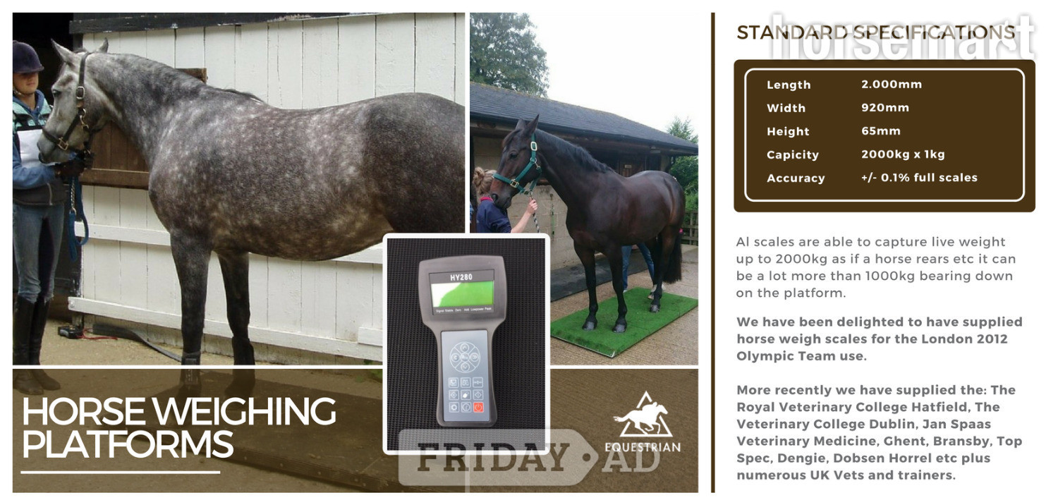 Equestrian Horse Weighing Platform - Horse Care & Equipment