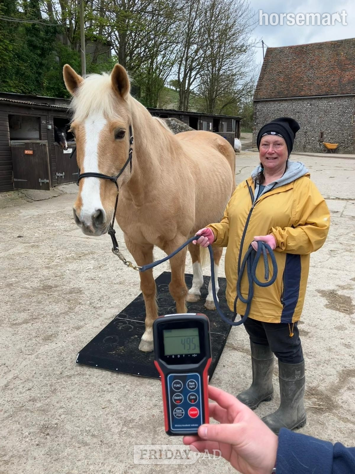 Equestrian Horse Weighing Platform