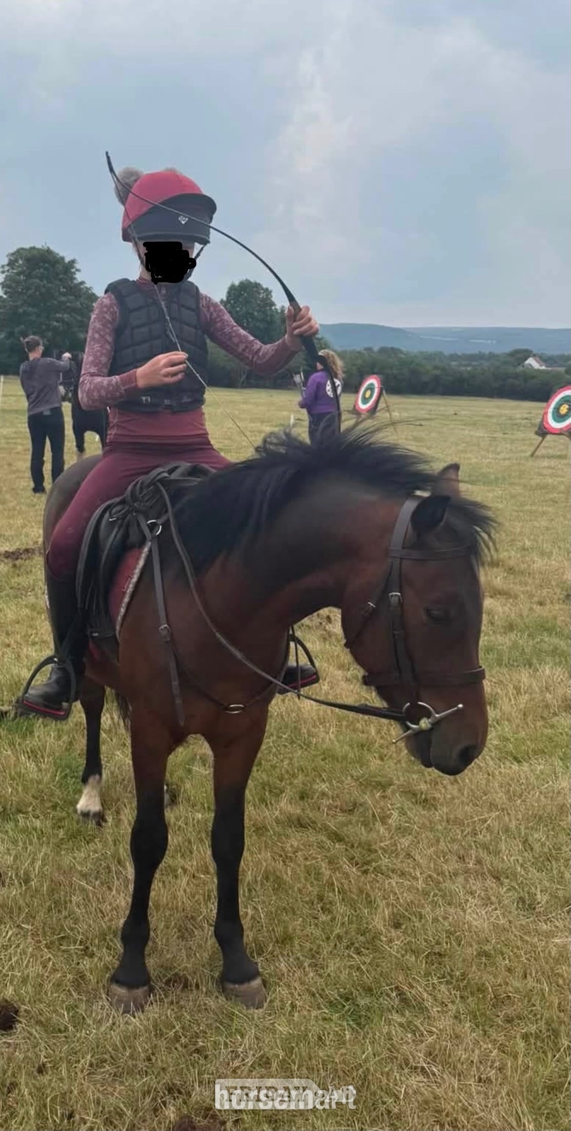 "Ezra " Bay Gelding Pony Club Pony - Horses in Saltburn-By-The-Sea