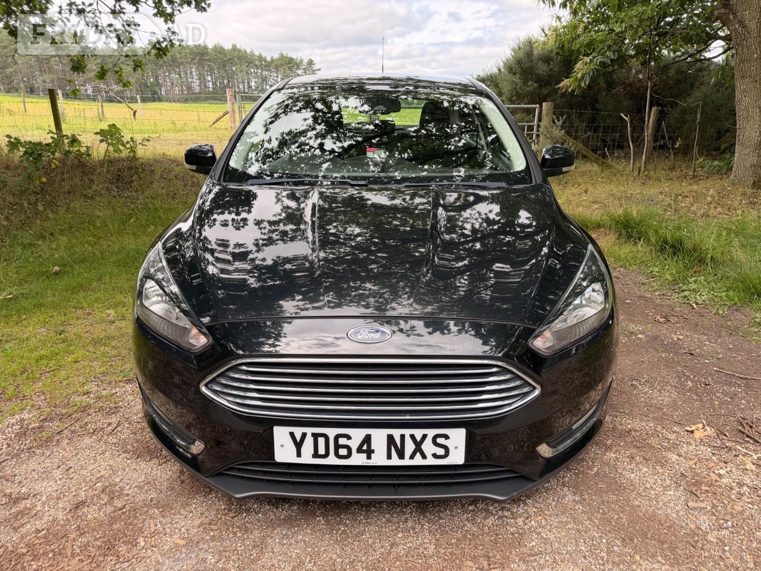 Ford Focus Ringwood
