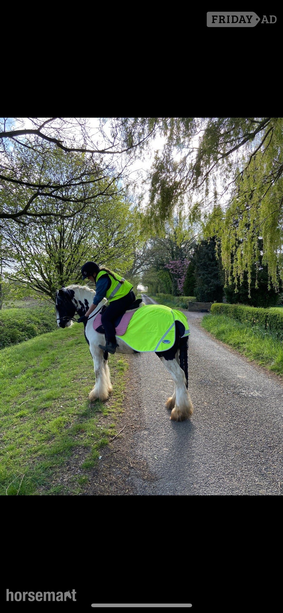 "Puzzle" Piebald Mare All Rounder