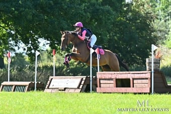 "Chinook" Bay Mare Ex Racehorse