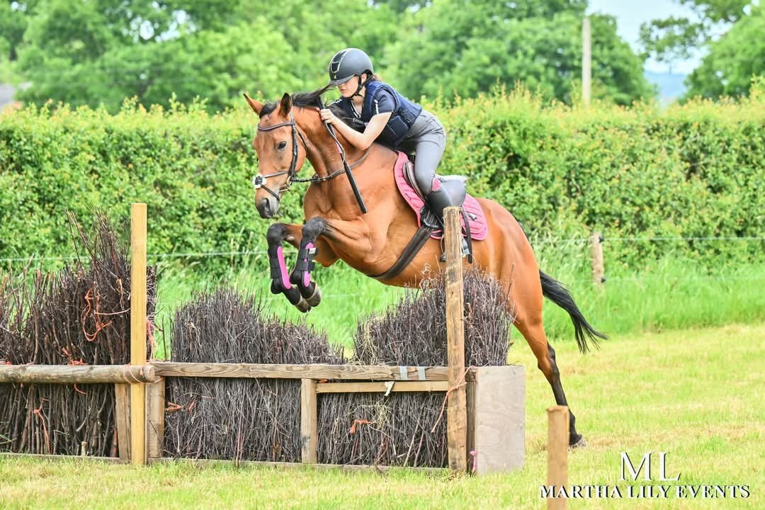 "Chinook" Bay Mare Ex Racehorse