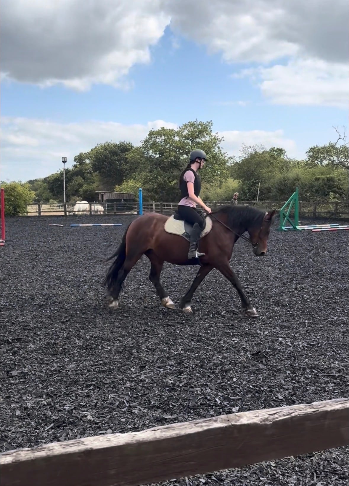 "Winnie" Bay Mare Happy Hacker
