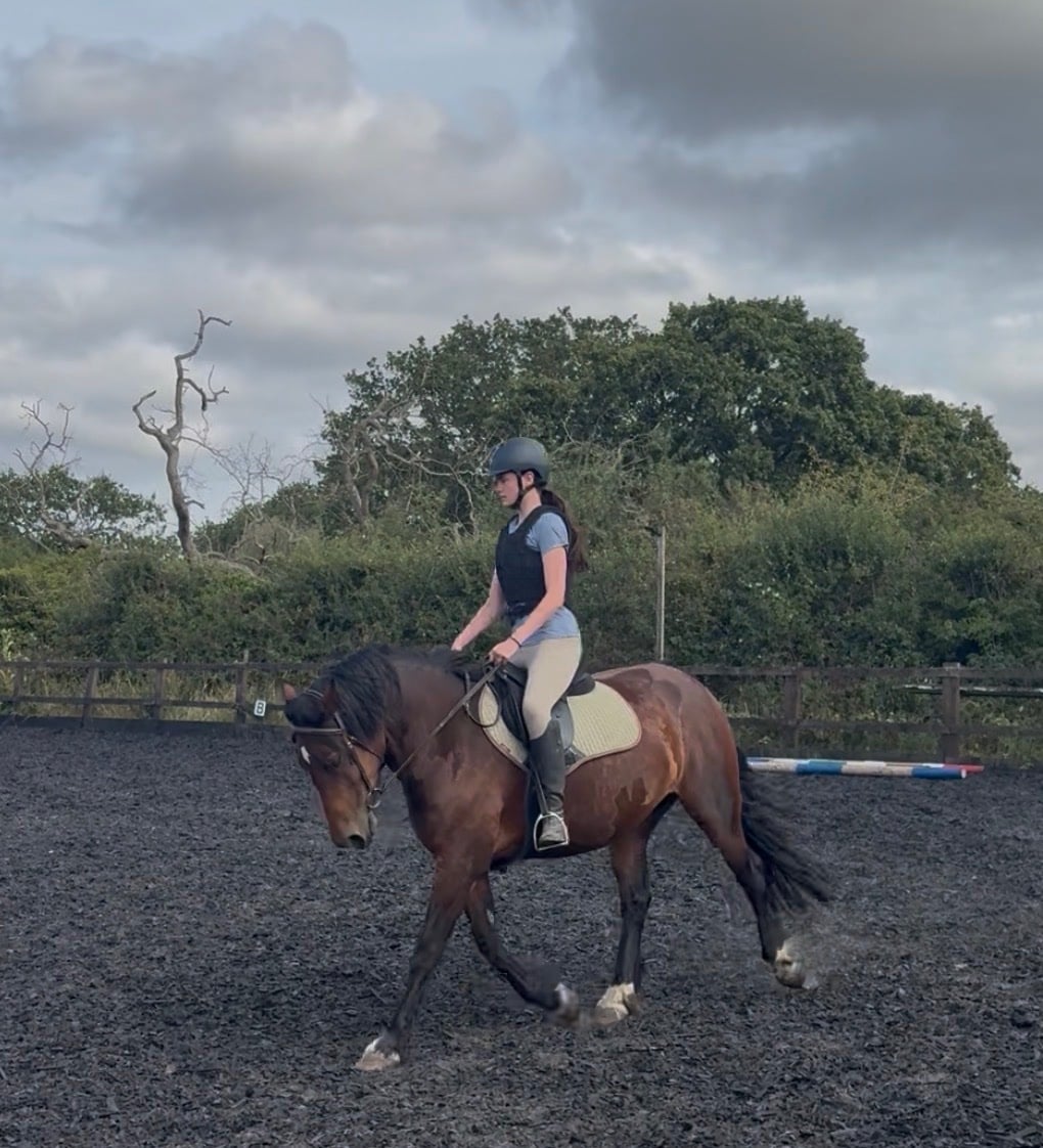 Liverpool "Winnie" Bay Mare Happy Hacker
