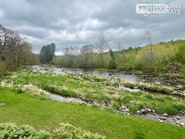 Lowther Castle Cosalt Mattisse  for sale