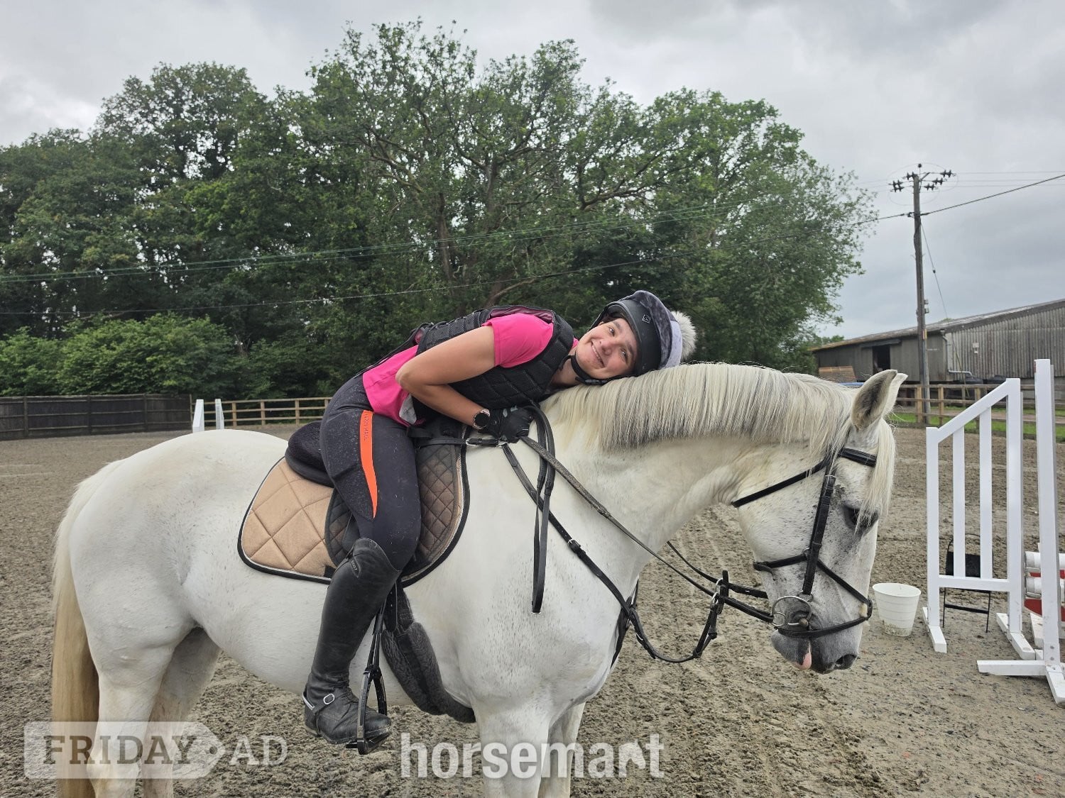 Horsham "Dora" Grey Mare All Rounder