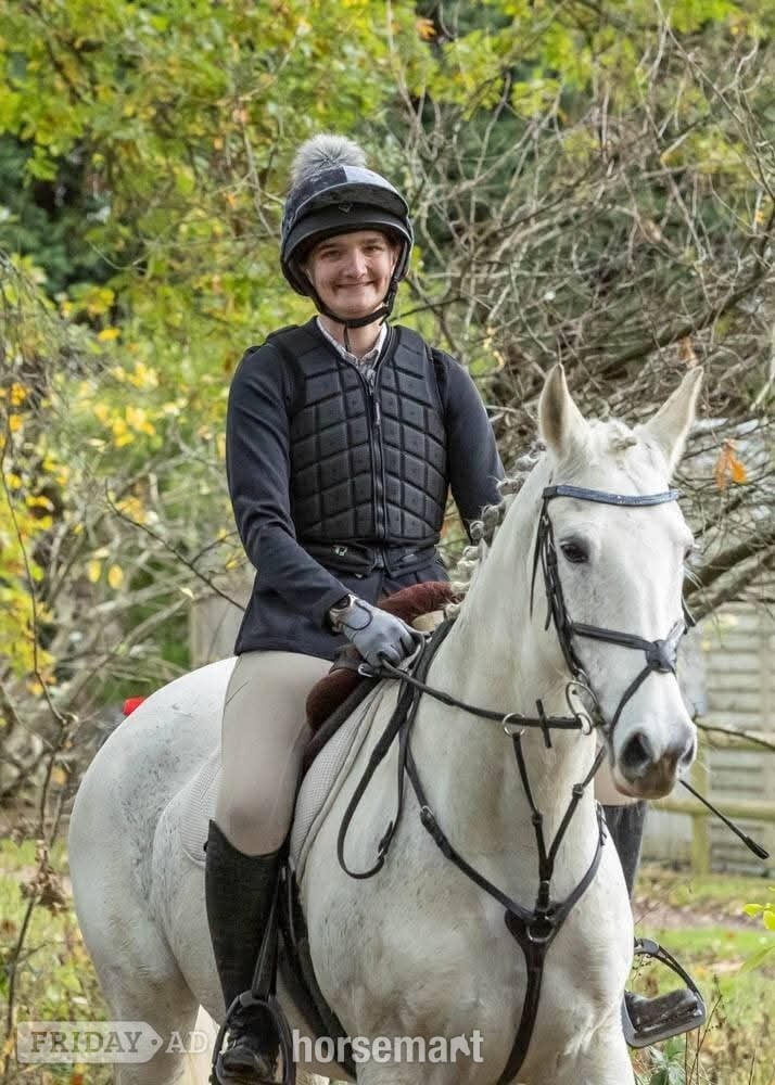 "Dora" Grey Mare All Rounder - Horses in Horsham