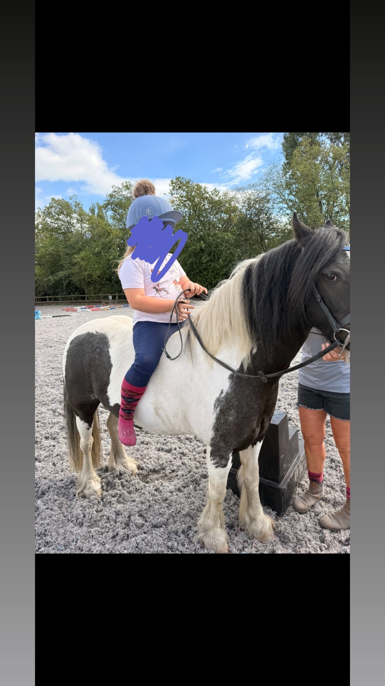 Crewe "Apollo" Piebald Gelding Coloured