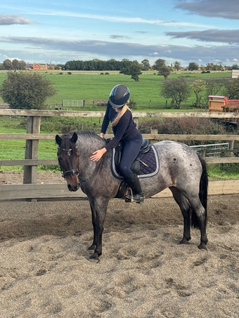 "Sharnie" Roan Mare All Rounder