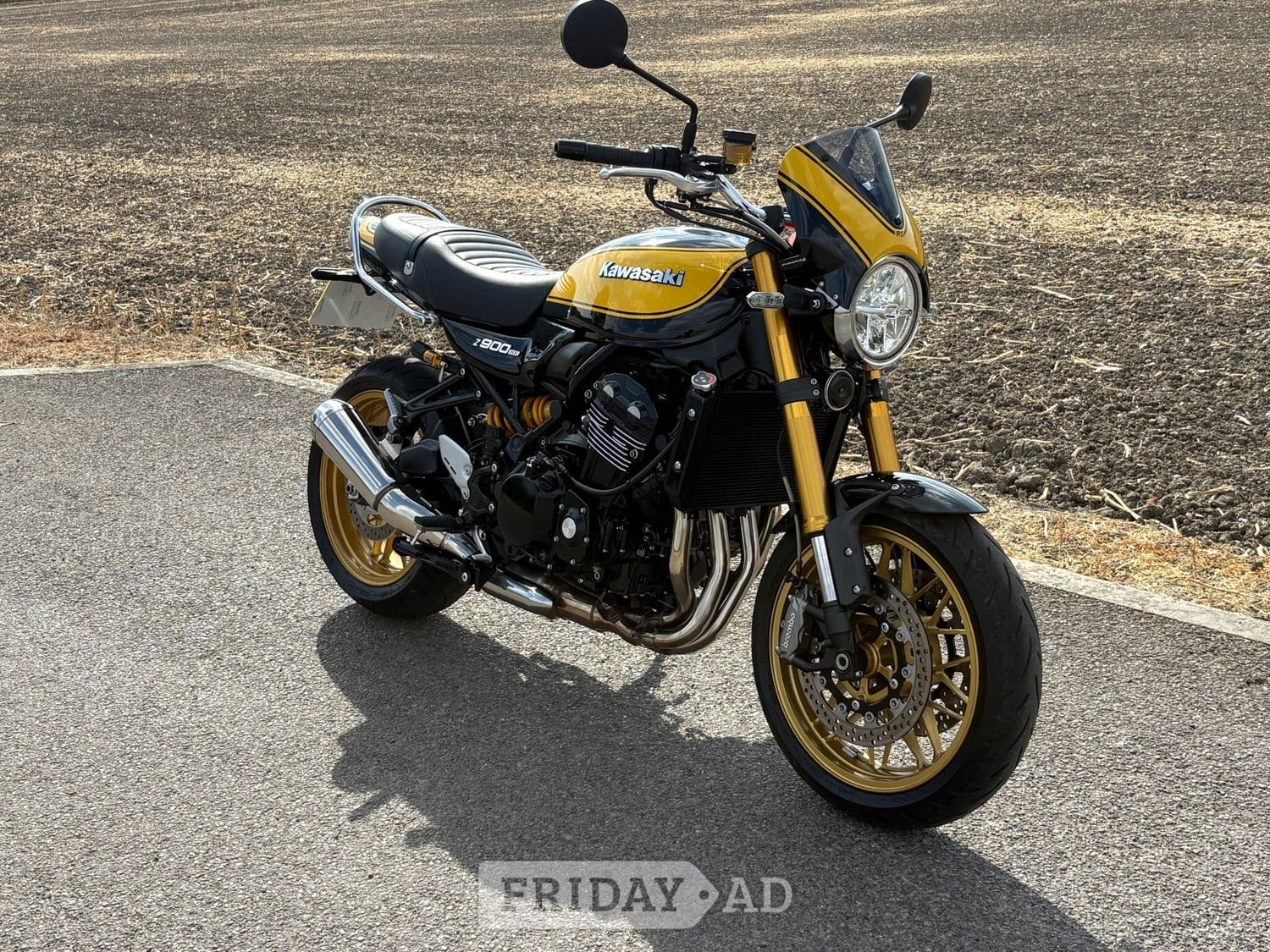 Kawasaki Z Wantage