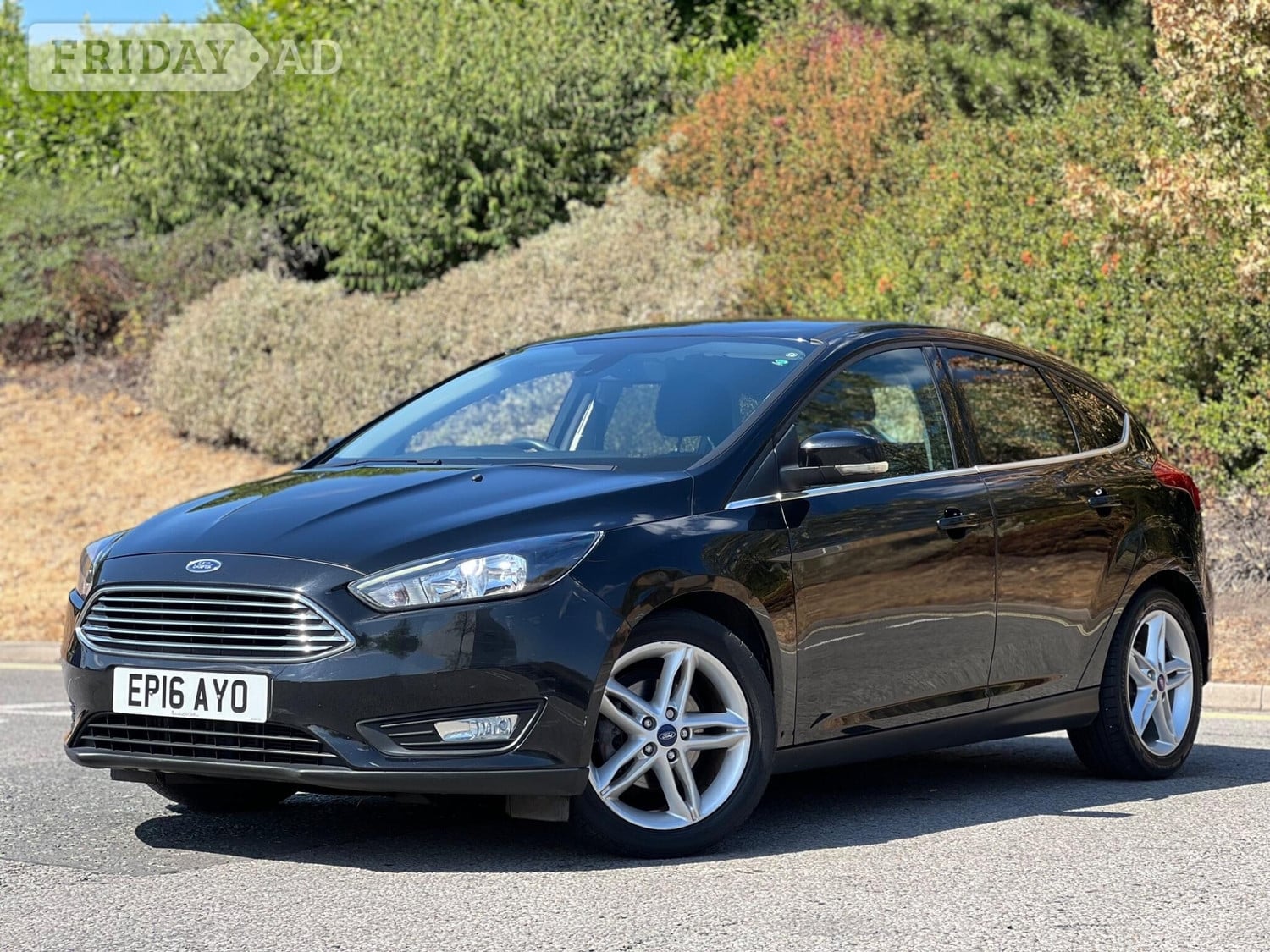 [ berth ]Ford Focus