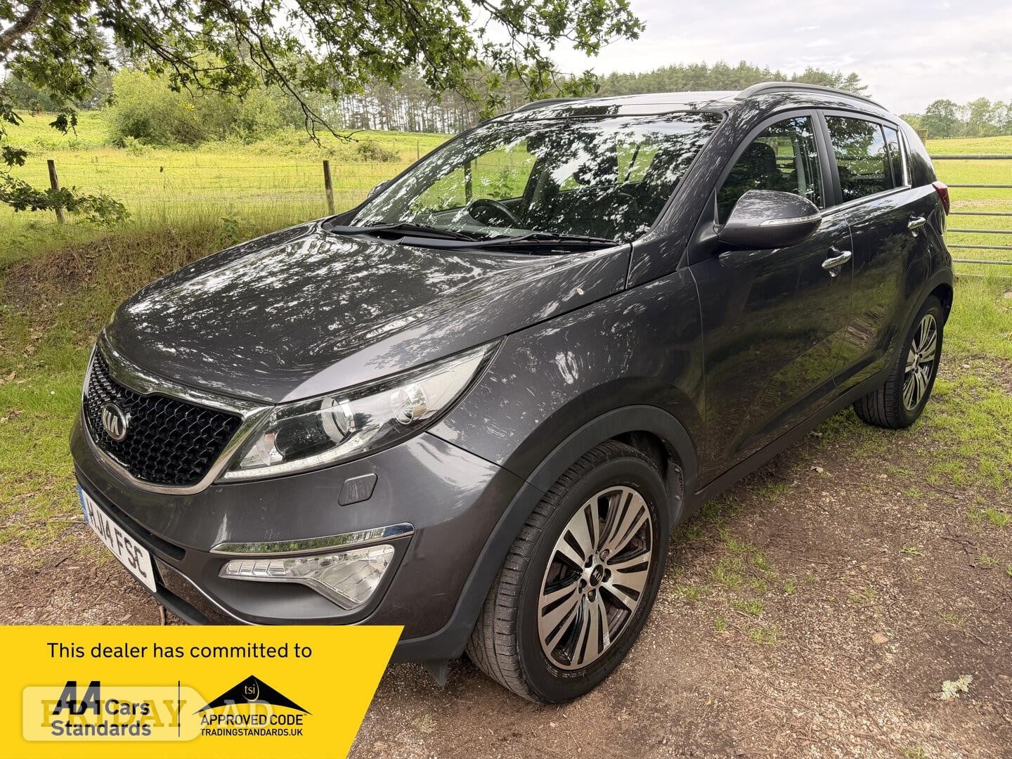 Kia Sportage 2014 in Ringwood