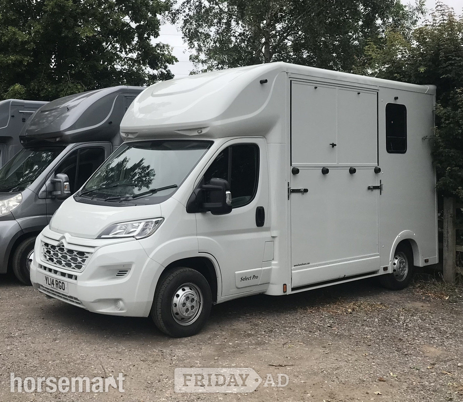 Select Pro Citroen Horsebox in Newark-on-Trent