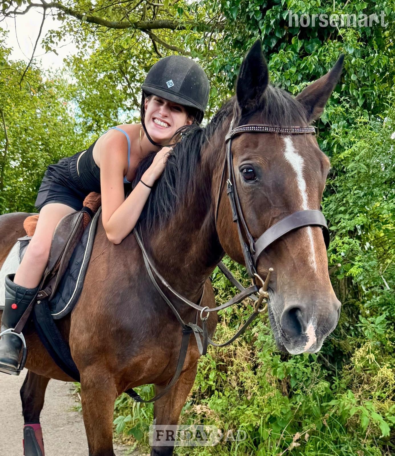 Telford "Anastasia " Bay Mare Happy Hacker