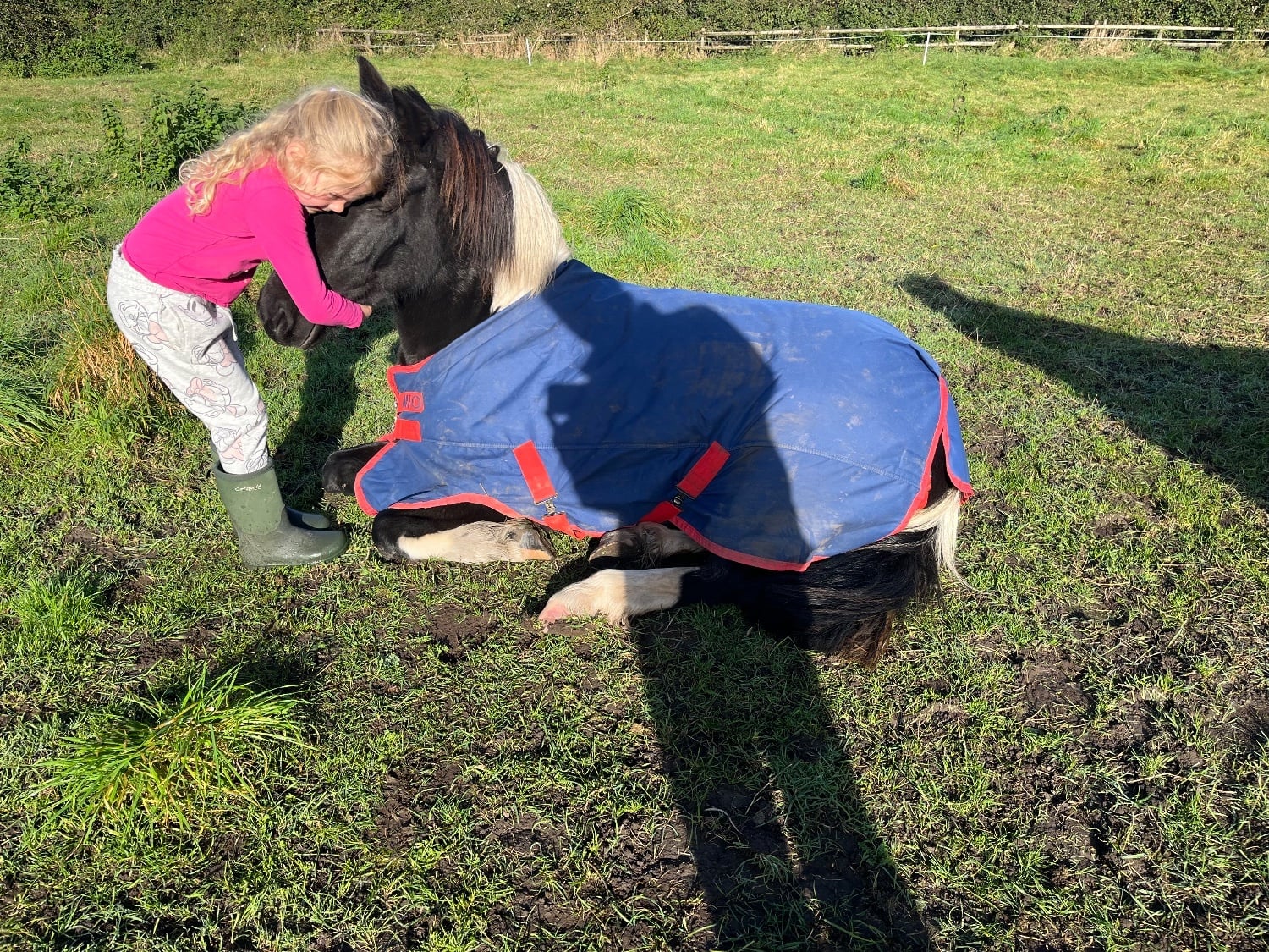 "Bonny" Coloured Mare Pony Club Pony