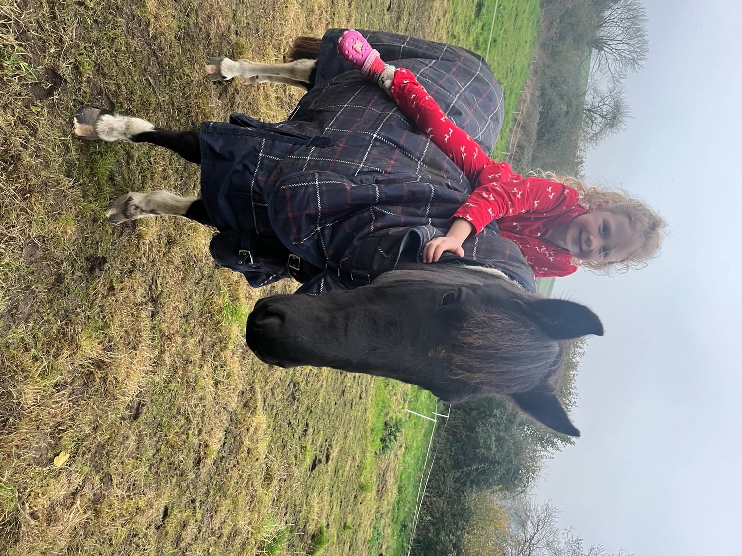 Dorchester "Bonny" Coloured Mare Pony Club Pony