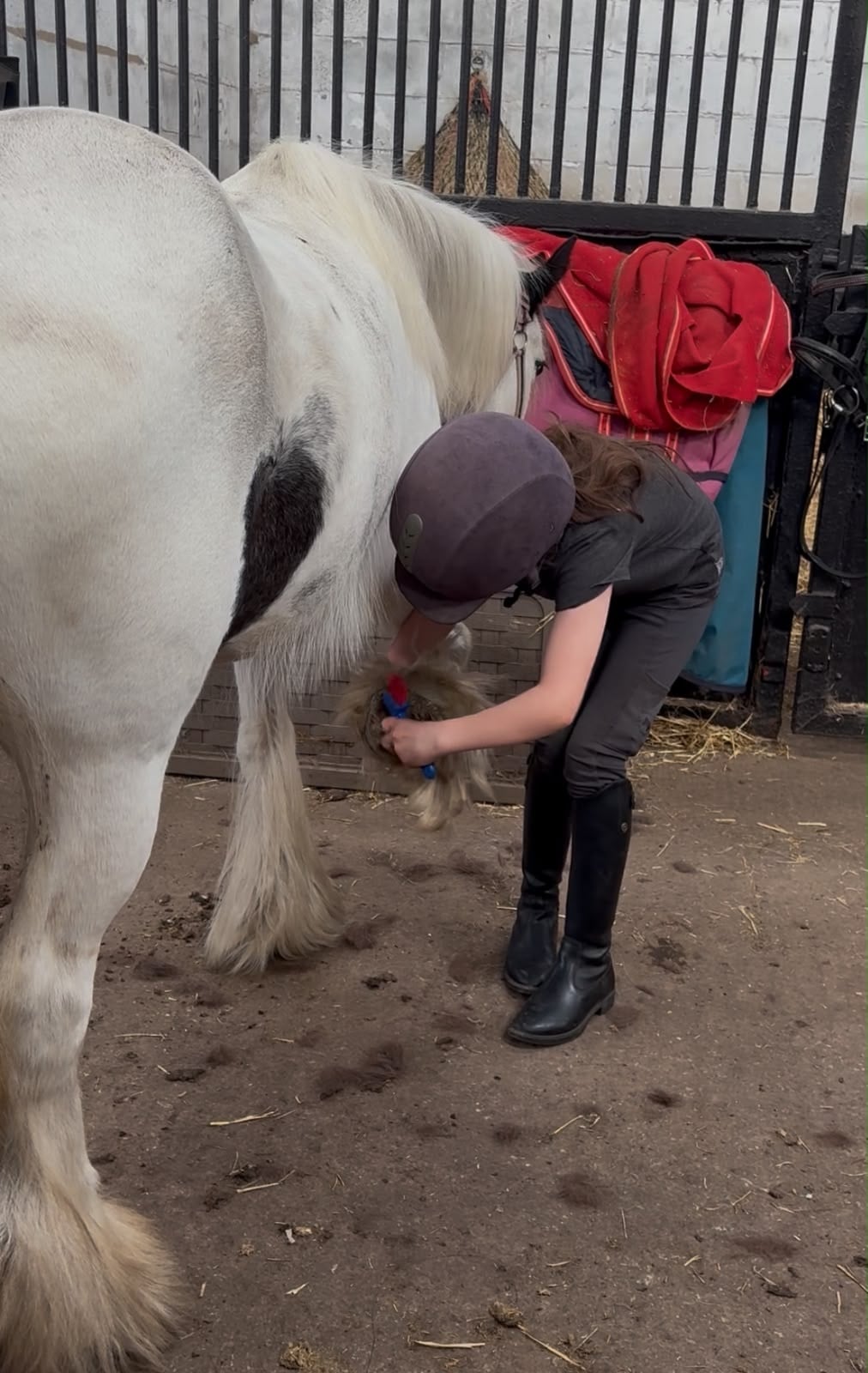 "Holly"  Mare Lead Rein/First Ridden Pony