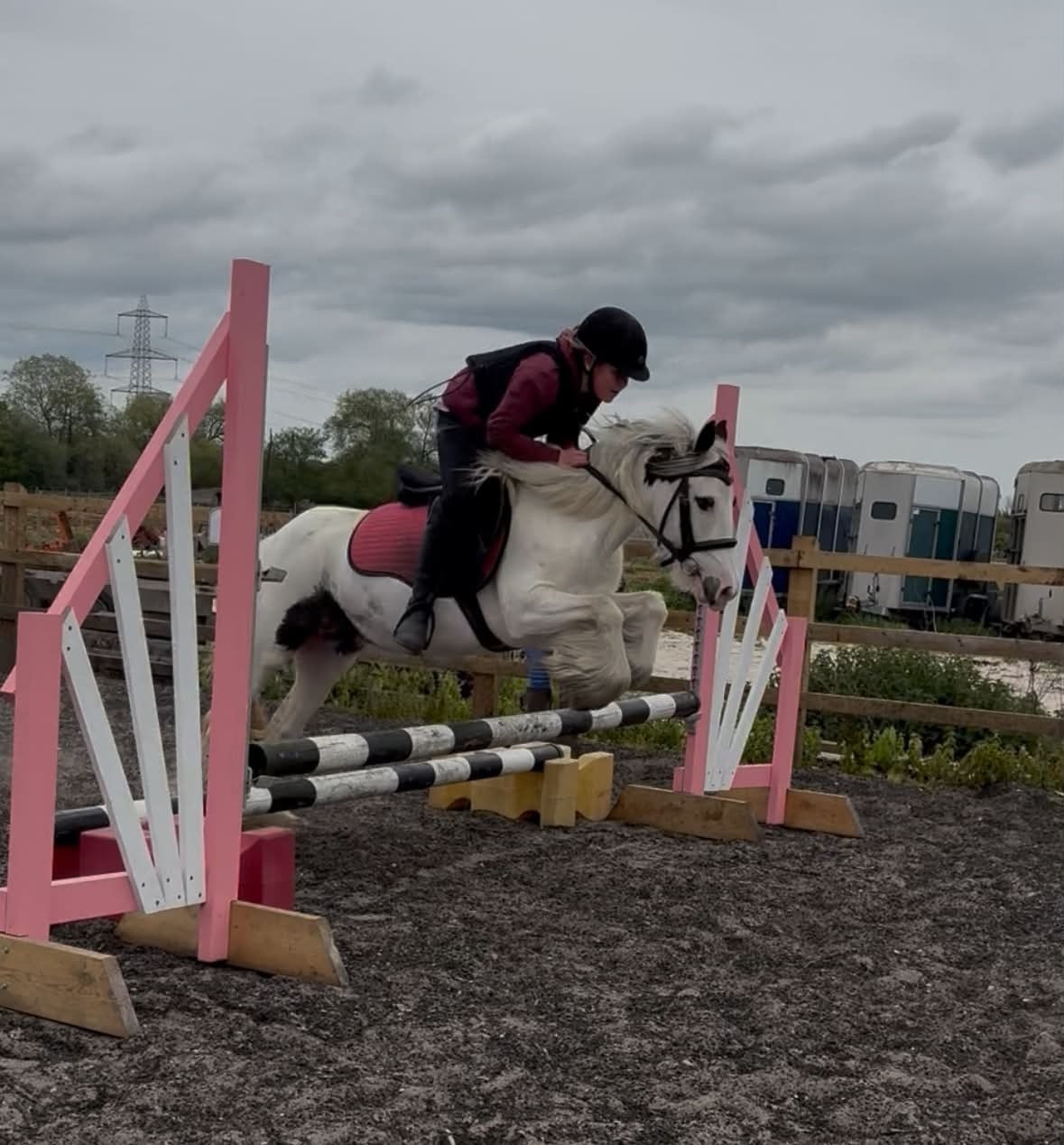 Pentney "Holly"  Mare Lead Rein/First Ridden Pony