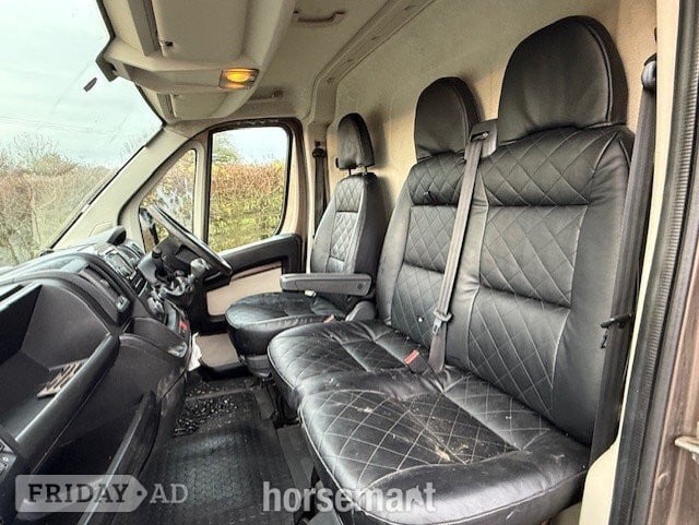 Elite  Citroen Horsebox - Trailers & Horseboxes