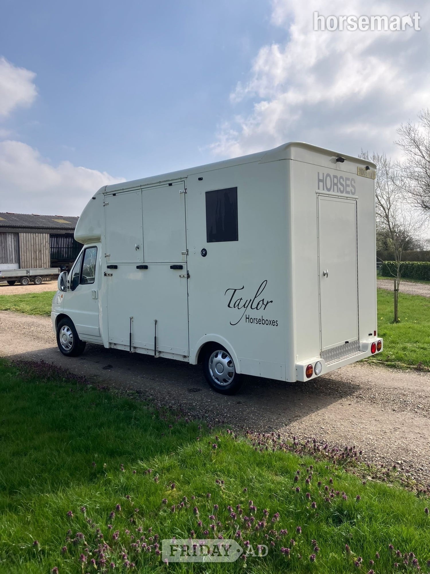 Taylor  Citroen Horsebox - Trailers & Horseboxes in Attleborough