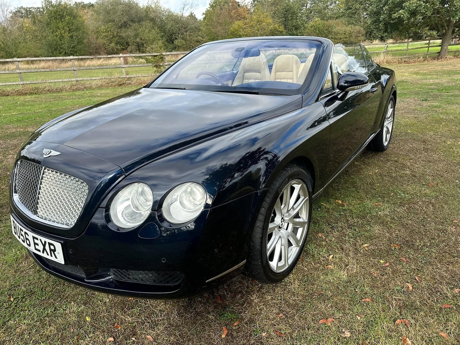 Bentley Continental 2006 - Cars