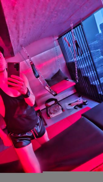 PIGxMASTERxBOY